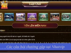 Câu Hỏi Thường Gặp Khi Tham Gia Ứng Dụng Nhatvip