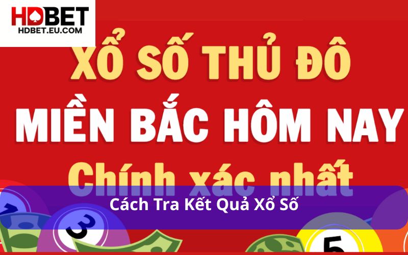 Cập nhật kết quả nhanh chóng